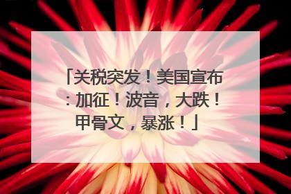 关税突发！美国宣布：加征！波音，大跌！甲骨文，暴涨！
