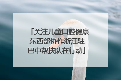 关注儿童口腔健康 东西部协作浙江驻巴中帮扶队在行动