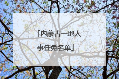 内蒙古一地人事任免名单