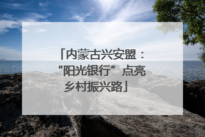 内蒙古兴安盟：“阳光银行”点亮乡村振兴路