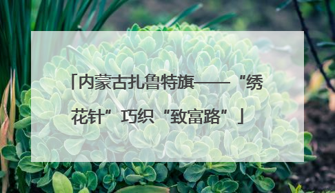 内蒙古扎鲁特旗——“绣花针”巧织“致富路”