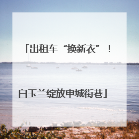 出租车“换新衣”！白玉兰绽放申城街巷