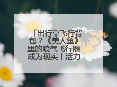 出行靠飞行背包？《美人鱼》里的喷气飞行器成为现实丨活力中国调研行
