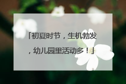 初夏时节，生机勃发，幼儿园里活动多！