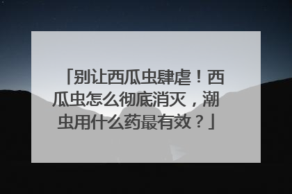 别让西瓜虫肆虐！西瓜虫怎么彻底消灭，潮虫用什么药最有效？