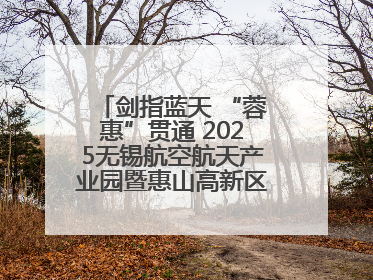 剑指蓝天 “蓉惠”贯通 2025无锡航空航天产业园暨惠山高新区投资环境推介会在成都举行