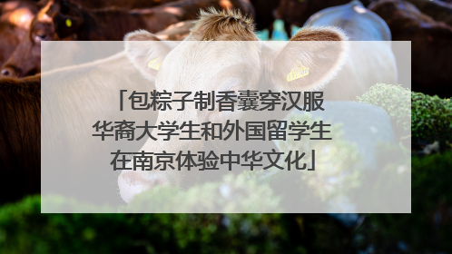 包粽子制香囊穿汉服 华裔大学生和外国留学生在南京体验中华文化