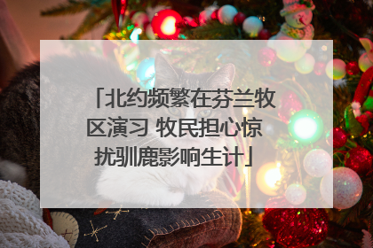 北约频繁在芬兰牧区演习 牧民担心惊扰驯鹿影响生计