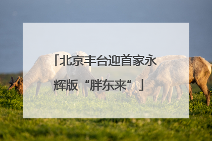 北京丰台迎首家永辉版“胖东来”