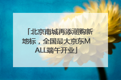 北京南城再添潮购新地标，全国最大京东MALL端午开业
