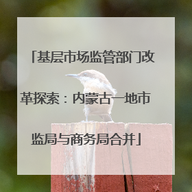 基层市场监管部门改革探索：内蒙古一地市监局与商务局合并