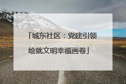 城东社区：党建引领绘就文明幸福画卷