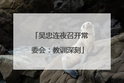 吴忠连夜召开常委会：教训深刻