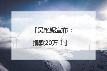 吴艳妮宣布：捐款20万！
