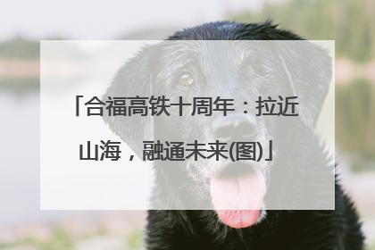 合福高铁十周年：拉近山海，融通未来(图)