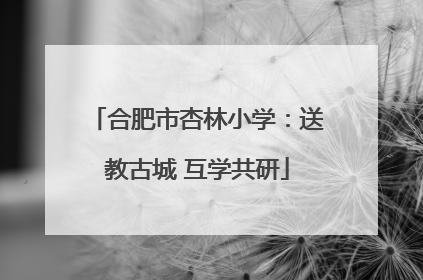 合肥市杏林小学：送教古城 互学共研