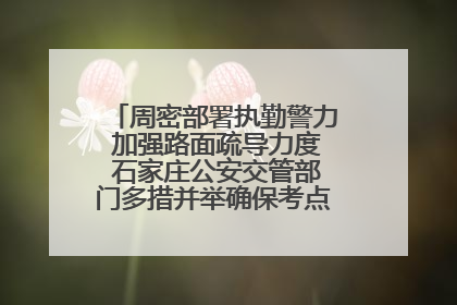 周密部署执勤警力 加强路面疏导力度 石家庄公安交管部门多措并举确保考点周边交通环境良好
