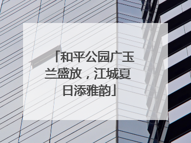 和平公园广玉兰盛放，江城夏日添雅韵