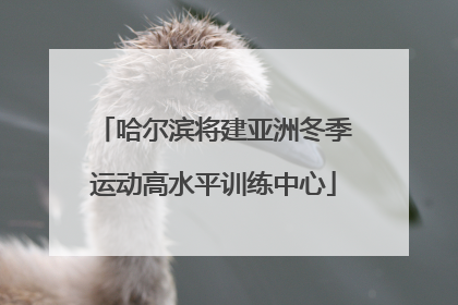 哈尔滨将建亚洲冬季运动高水平训练中心
