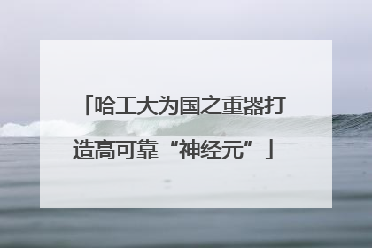 哈工大为国之重器打造高可靠“神经元”