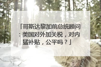 哥斯达黎加前总统顾问：美国对外加关税，对内猛补贴，公平吗？