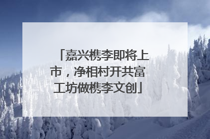 嘉兴槜李即将上市，净相村开共富工坊做槜李文创
