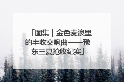 图集｜金色麦浪里的丰收交响曲——豫东三夏抢收纪实