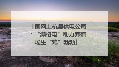 国网上杭县供电公司：“满格电”助力养殖场生“鸡”勃勃