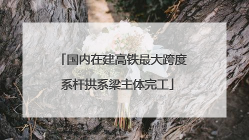 国内在建高铁最大跨度系杆拱系梁主体完工