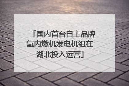 国内首台自主品牌氢内燃机发电机组在湖北投入运营