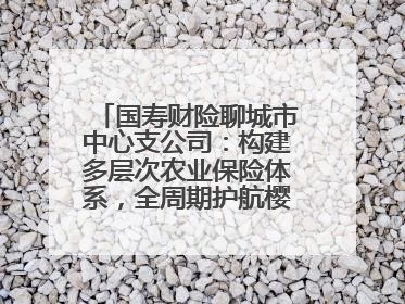 国寿财险聊城市中心支公司：构建多层次农业保险体系，全周期护航樱桃产业发展