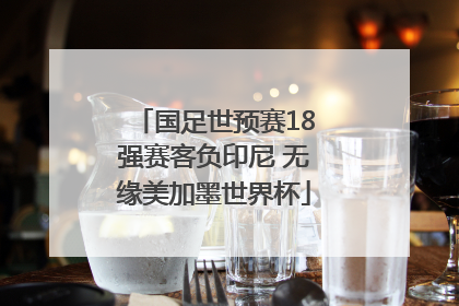 国足世预赛18强赛客负印尼 无缘美加墨世界杯