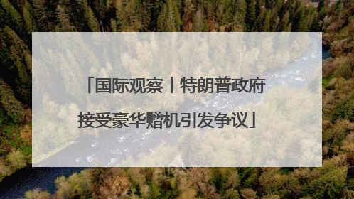 国际观察丨特朗普政府接受豪华赠机引发争议