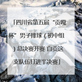 四川省第五届“贡嘎杯”男子排球（初中组）总决赛开赛 自贡这支队伍打进半决赛