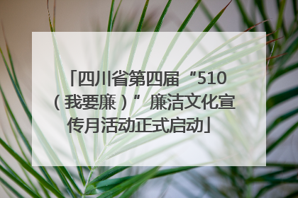 四川省第四届“510（我要廉）”廉洁文化宣传月活动正式启动