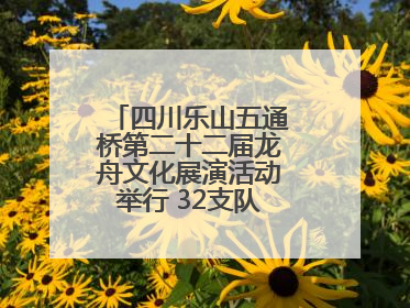 四川乐山五通桥第二十二届龙舟文化展演活动举行 32支队伍竞渡小西湖
