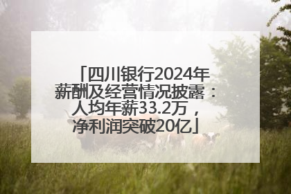 四川银行2024年薪酬及经营情况披露：人均年薪33.2万，净利润突破20亿