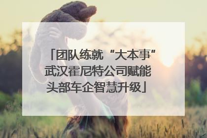 团队练就“大本事” 武汉霍尼特公司赋能头部车企智慧升级