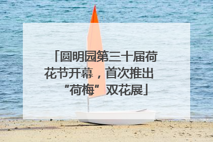 圆明园第三十届荷花节开幕，首次推出“荷梅”双花展