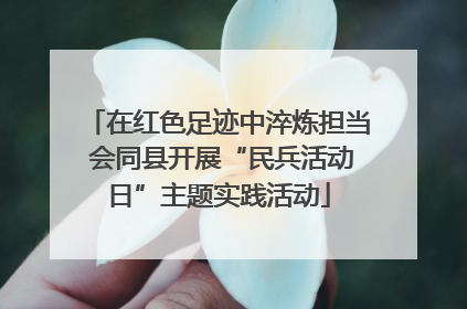 在红色足迹中淬炼担当 会同县开展“民兵活动日”主题实践活动