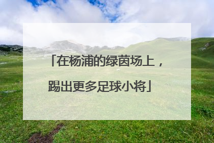 在杨浦的绿茵场上，踢出更多足球小将