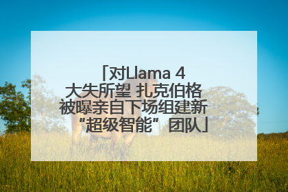 对Llama 4大失所望 扎克伯格被曝亲自下场组建新“超级智能”团队