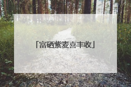 富硒紫麦喜丰收