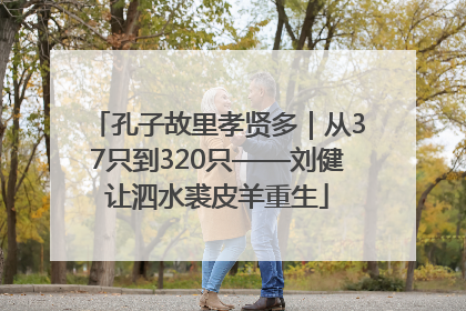孔子故里孝贤多｜从37只到320只——刘健让泗水裘皮羊重生