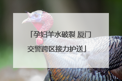 孕妇羊水破裂 厦门交警跨区接力护送