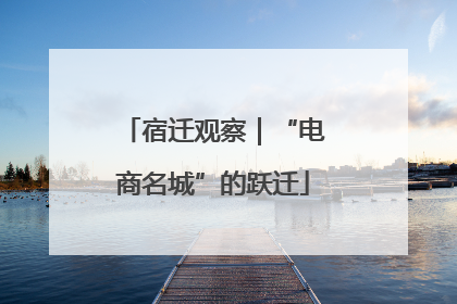 宿迁观察｜“电商名城”的跃迁