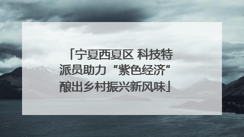 宁夏西夏区 科技特派员助力“紫色经济”酿出乡村振兴新风味