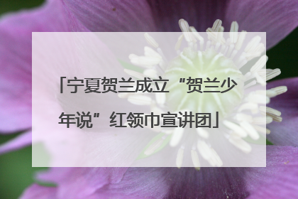 宁夏贺兰成立“贺兰少年说”红领巾宣讲团