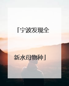 宁波发现全新水母物种