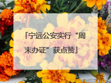 宁远公安实行“周末办证”获点赞